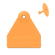 Ear Tag
