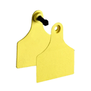 Ear Tag